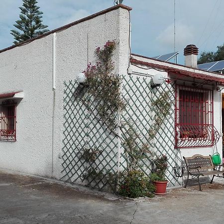B&B Villa Lucia Mesagne Zewnętrze zdjęcie