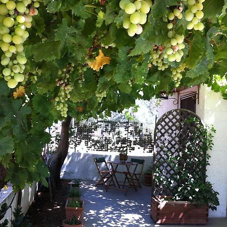 B&B Villa Lucia Mesagne Zewnętrze zdjęcie