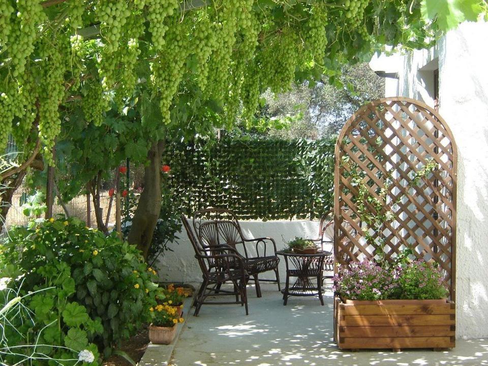 B&B Villa Lucia Mesagne Zewnętrze zdjęcie