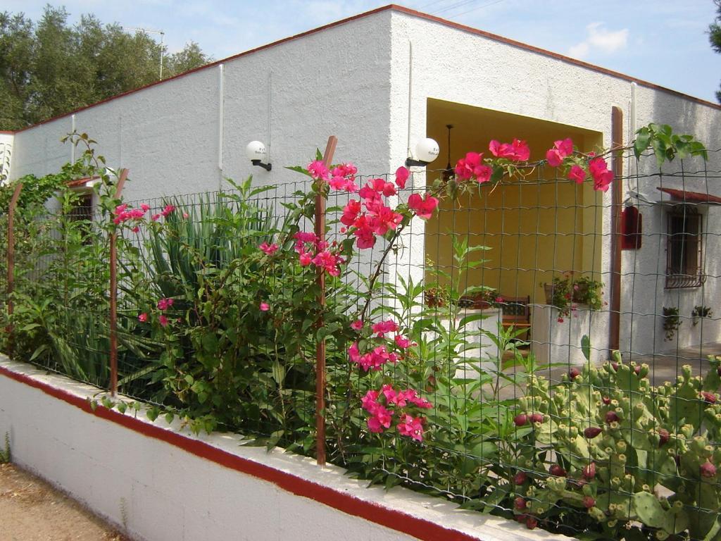 B&B Villa Lucia Mesagne Zewnętrze zdjęcie