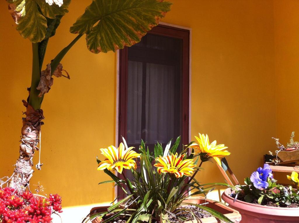 B&B Villa Lucia Mesagne Zewnętrze zdjęcie